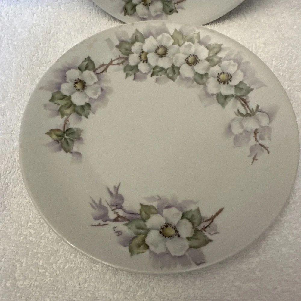 PLANKENHAMMER FLOSS Bavaria (Set of 2) Porcelain Salad Dessert Plate‎ 7.75
